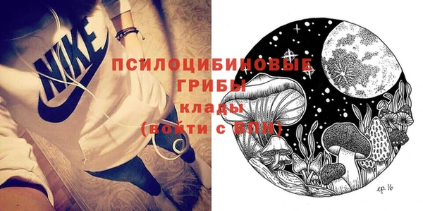 хмурый Верхний Тагил