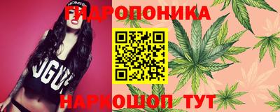 гидра Апшеронск