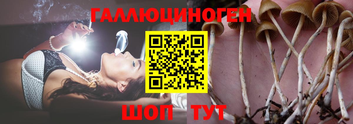 Псилоцибиновые грибы мухоморы Братск