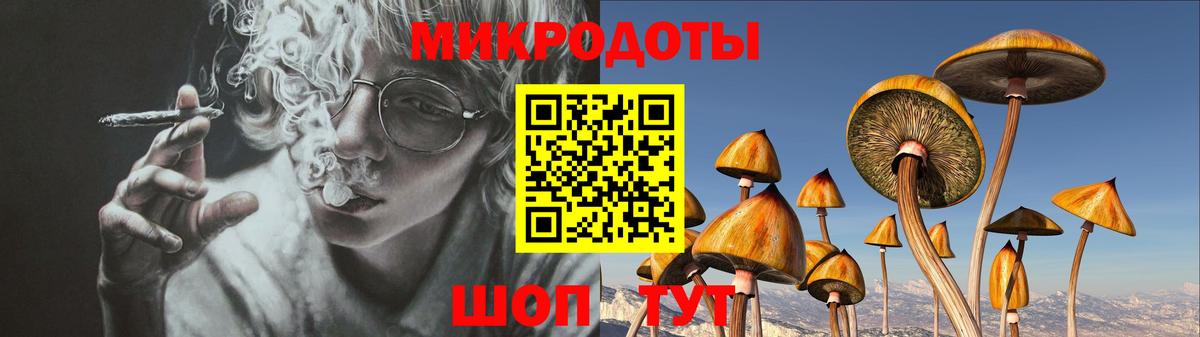 Галлюциногенные грибы ЛСД  Вход с VPN  Галлюциногенные грибы GOLDEN TEACHER  где купить наркотик  Братск 