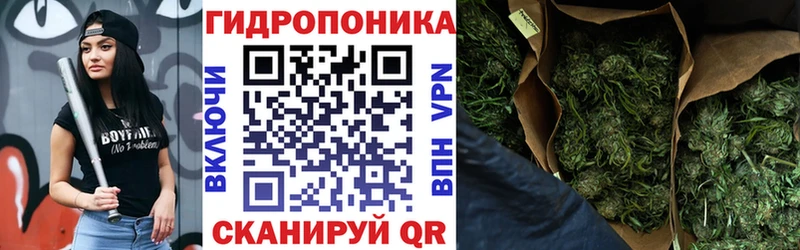 Бошки марихуана THC 21%  Братск 