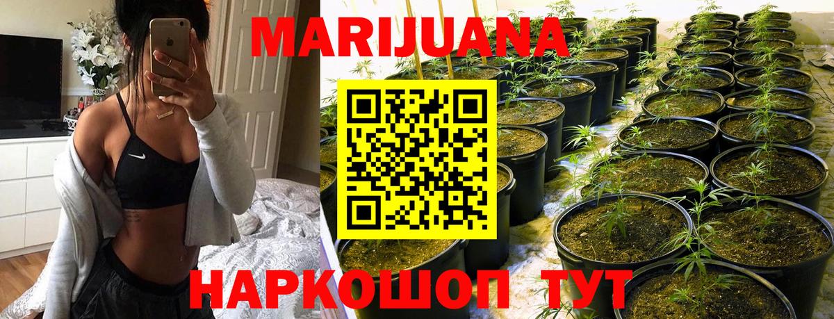 Канабис сатива  Конопля White Widow  Братск  Бошки марихуана AK-47  Каннабис THC 21% 